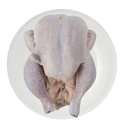 مرغ